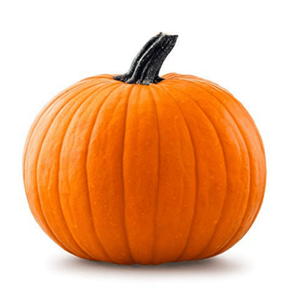 Pumpkin (Single)