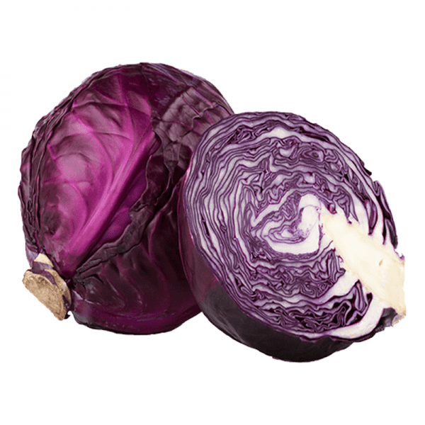 Red Cabbage (Single)