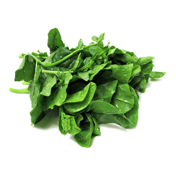 Spinach (1 bunch)