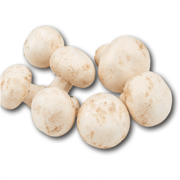 White Mushrooms (400 gms)