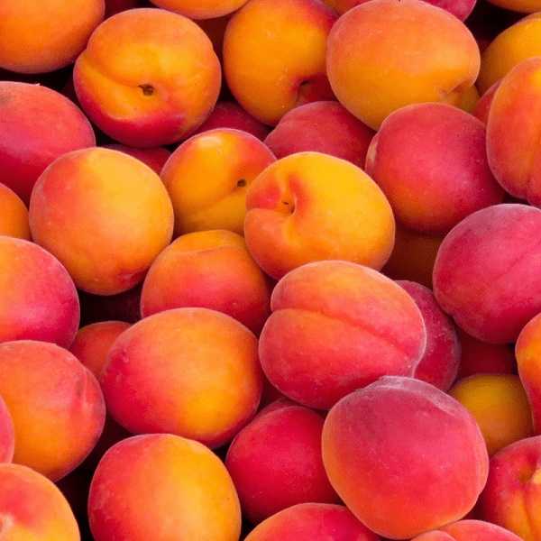 Peaches (Pack of 4)